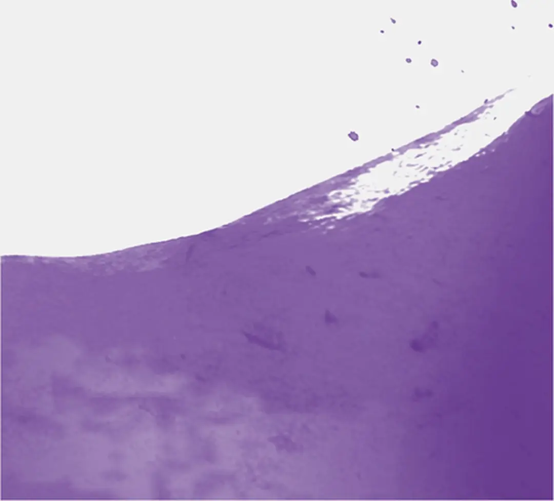 Talens Ecoline 30ml Blauwviolet - 1 Stuk