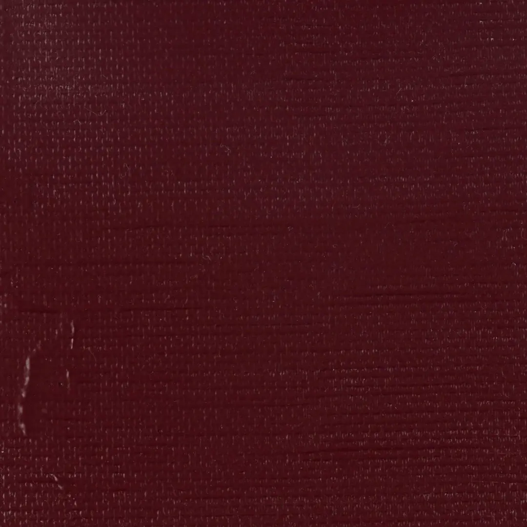 Rembrandt Acryl Verf Mars Violett 40ml