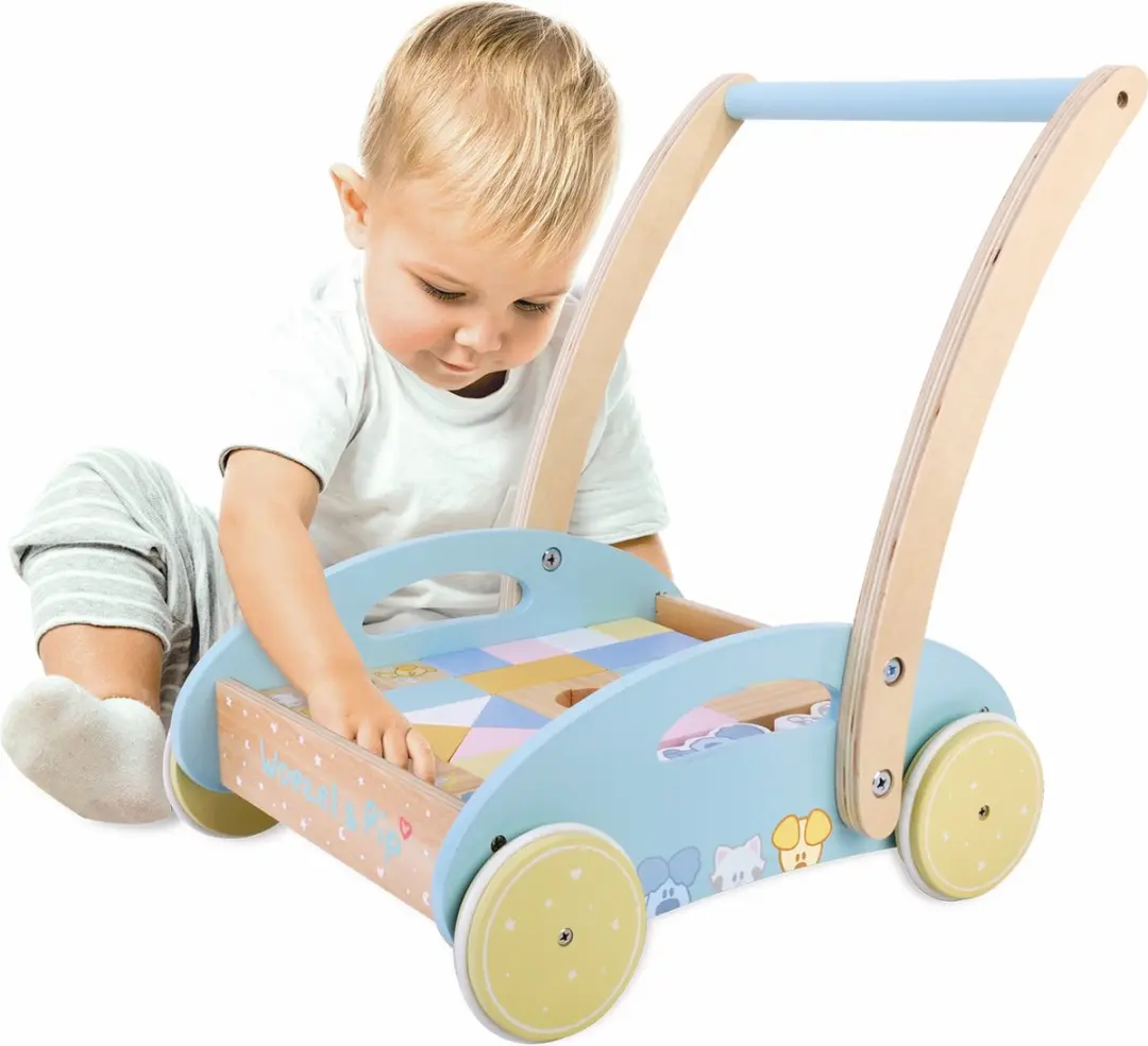 Woezel en Pip Baby Blokkenkar - 2 Stuks - Blauw