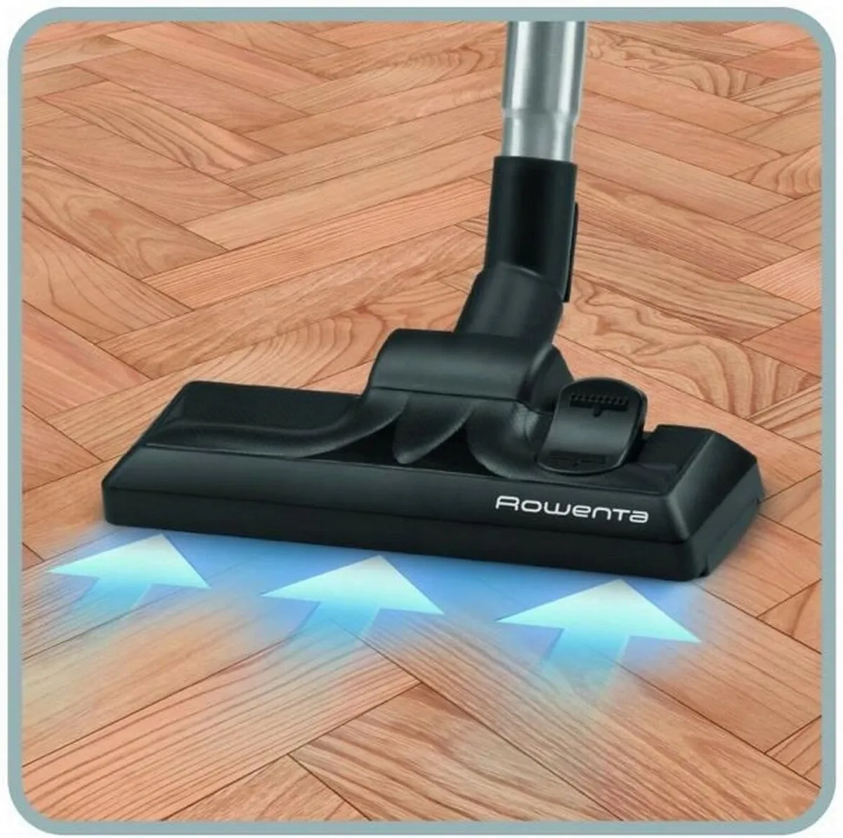 Rowenta RO3945EA Stofzuiger 750W - 3L - Zwart/Zilver