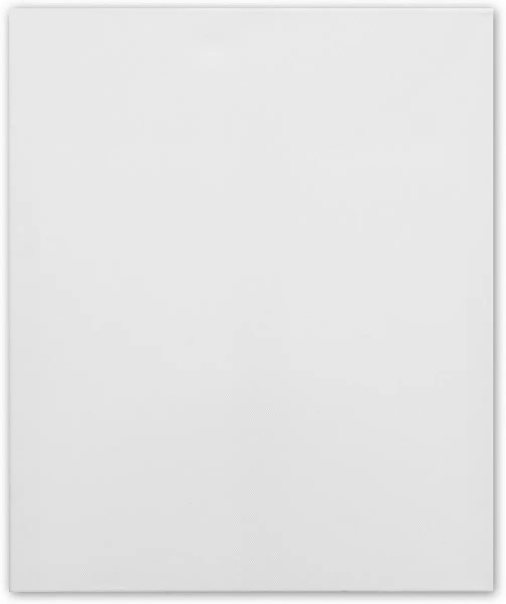 Kangaro 3D Schildersdoek 50x60cm - 2 Stuks - Wit