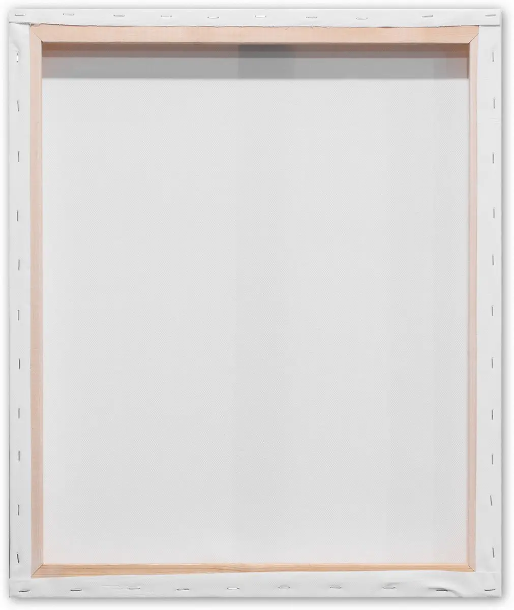 Kangaro 3D Schildersdoek 50x60cm - 2 Stuks - Wit