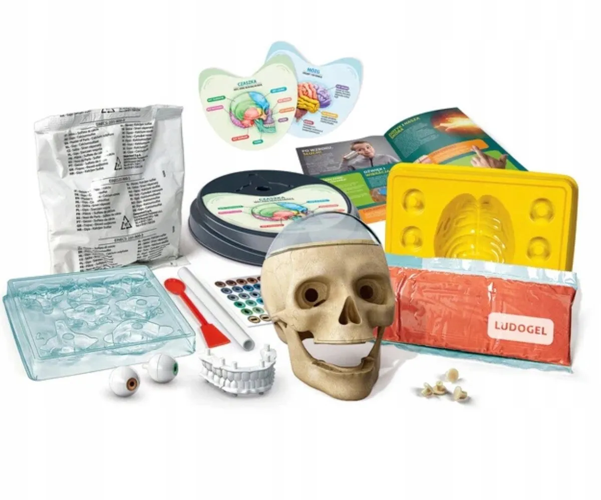 Clementoni Zwariowana Anatomie Experimenteerkit - afbeelding 4 van 4