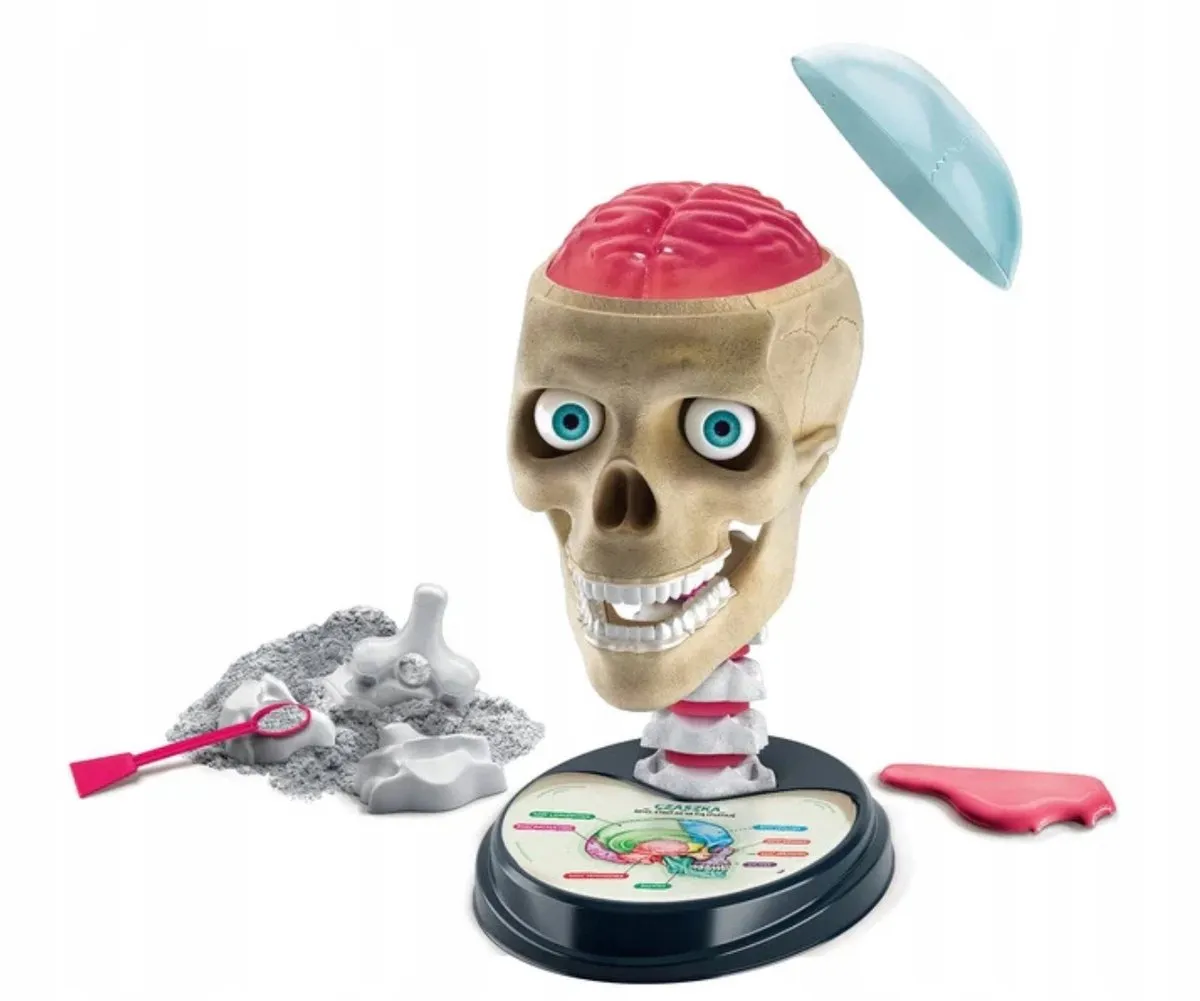 Clementoni Zwariowana Anatomie Experimenteerkit - afbeelding 3 van 4