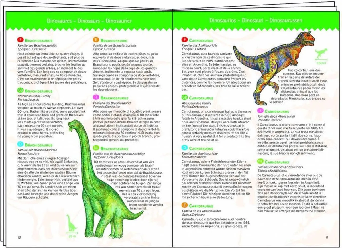 Djeco Dinosaurussen Puzzel 100 Stuks - Multicolor - afbeelding 6 van 6