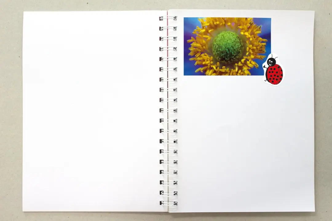 Kangaro Plakboek A4+ 80 Pagina's - Blauw