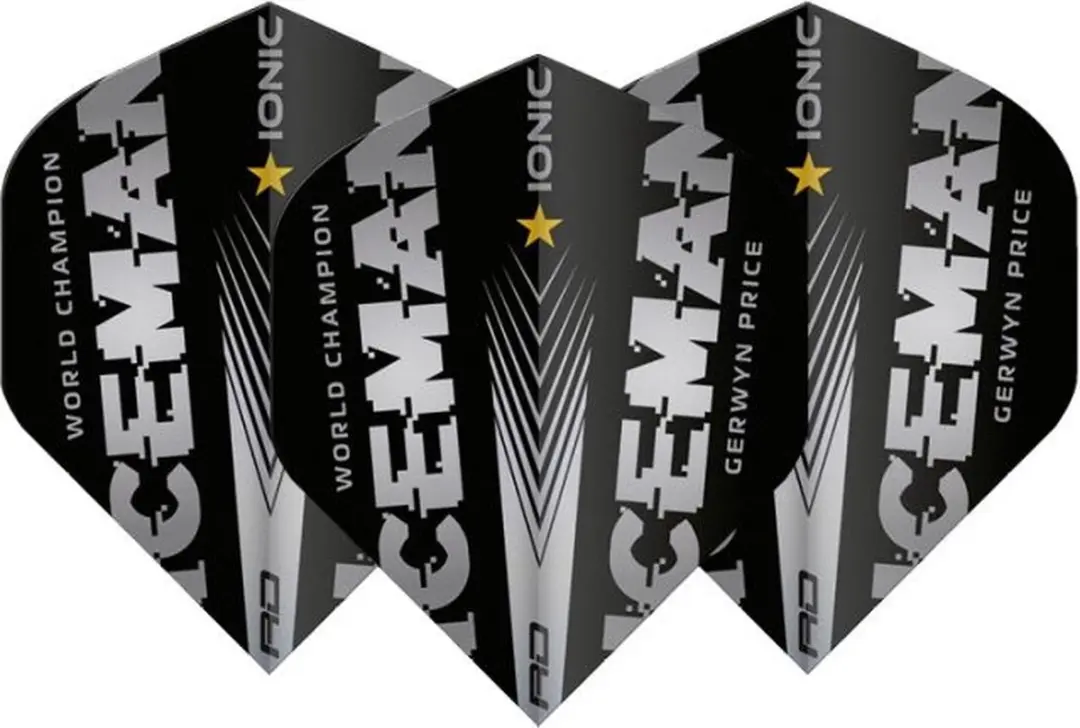 Red Dragon Gerwyn Price WC2021 Silver Edition Dart Flights TF6578 - Zilver/Zwart