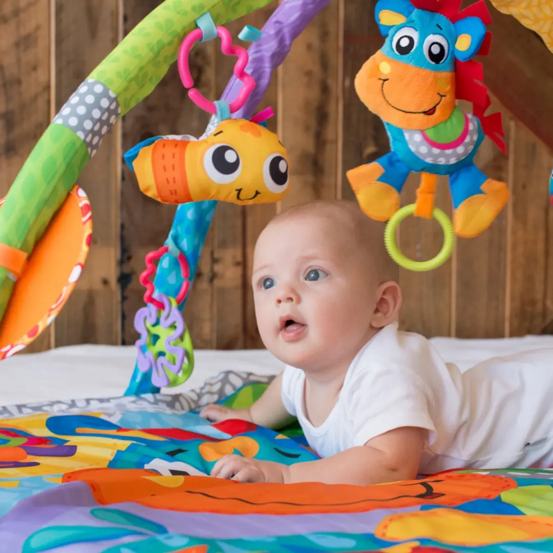 Playgro Clip Clop Musical Activity Gym - Multi