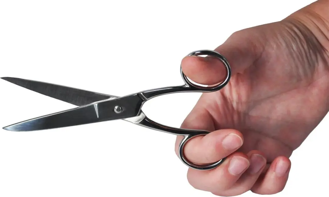 Desq Schaar 15cm - Verchroomd