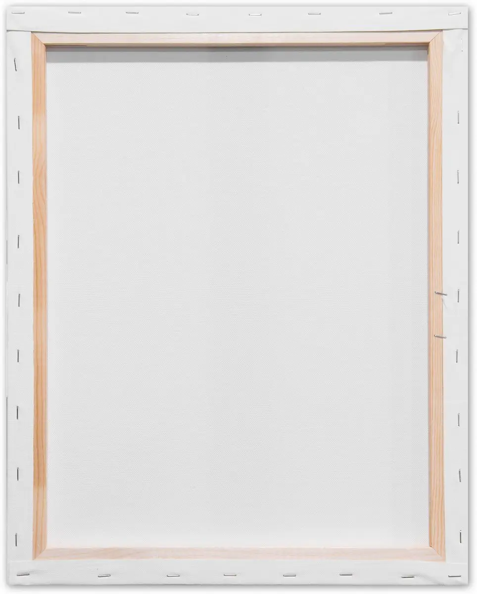 Kangaro Schildersdoek Standaard 40x50cm - 2 Stuks - Wit