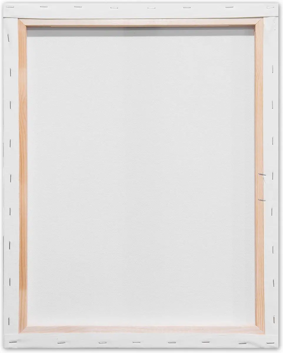 Kangaro Schildersdoek Standaard 40x50cm - 2 Stuks - Wit - afbeelding 6 van 6