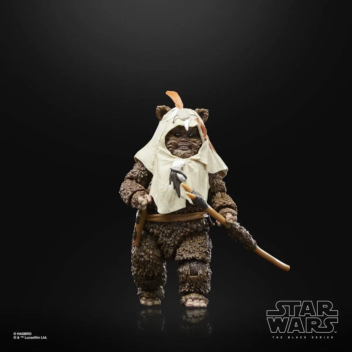 Disney Star Wars Actiefiguur Paploo Black Series F70735X2 - 15 cm - afbeelding 6 van 6