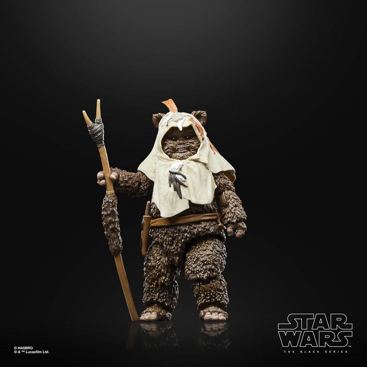 Hasbro Star Wars Actiefiguur Paploo 15 cm Episode VI 40th Anniversary Black Series Multicolours