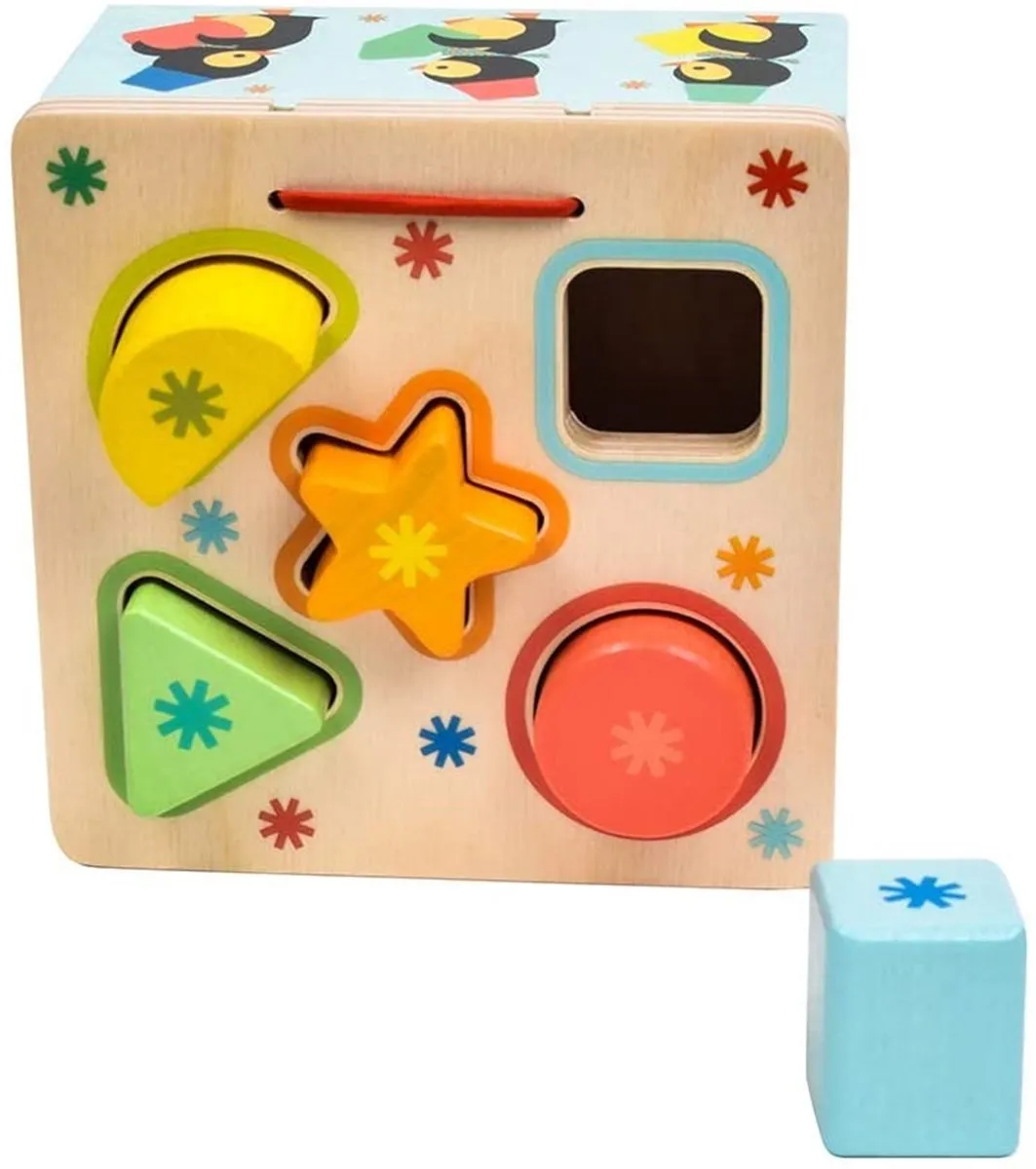 Djeco Geo Junzo Blokken - Multicolor