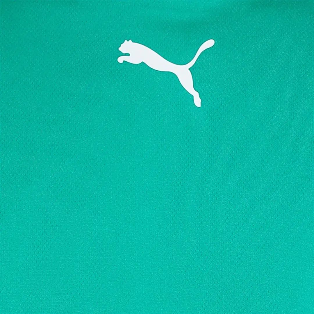 PUMA Teamrise Shirt Heren - Groen S
