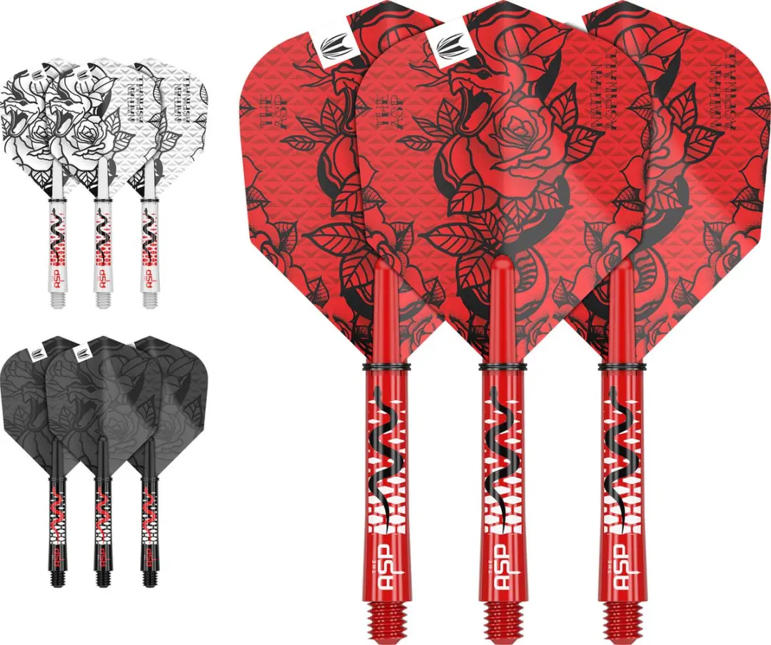 Target Nathan Aspinall Ink Flight Shaft Kit 420005