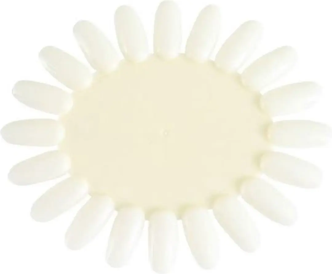 NailPerfect Color Wheel Oval Natural