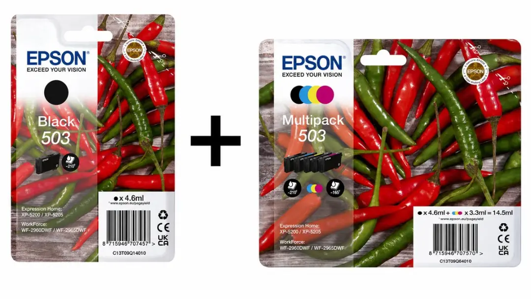 Epson 503 Multi Pack