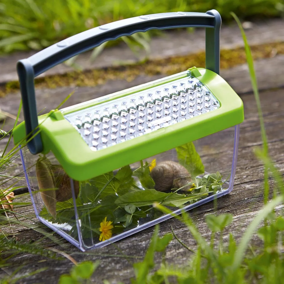 Haba Terra Kids Insectendoos - Transparant/ Groen - afbeelding 6 van 6