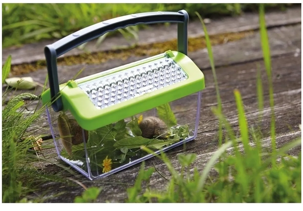 Haba Terra Kids Insectendoos - Transparant/ Groen