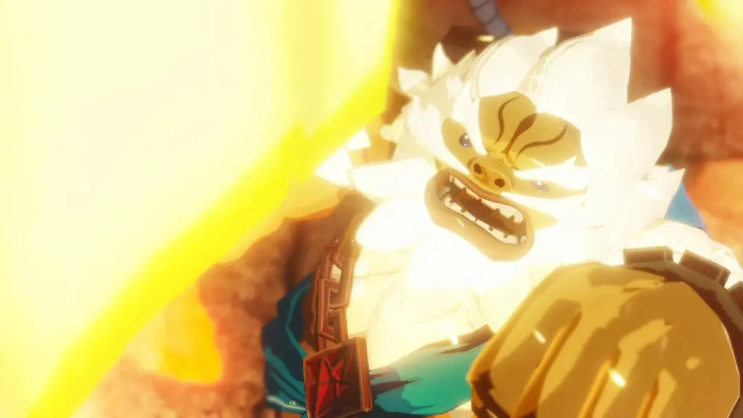 Nintendo Hyrule Warriors Age of Calamity - Franse Verpakking