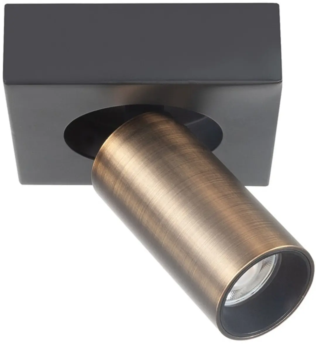 Highlight Spot Eliano 1 Lichtpunt 10W - Ø10cm - Brons/Zwart