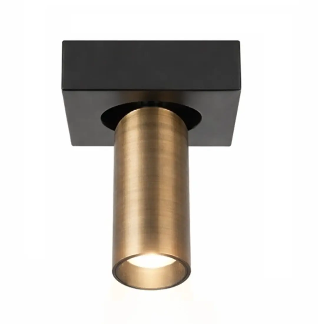 Highlight Spot Eliano 1 Lichtpunt 10W - Ø10cm - Brons/Zwart