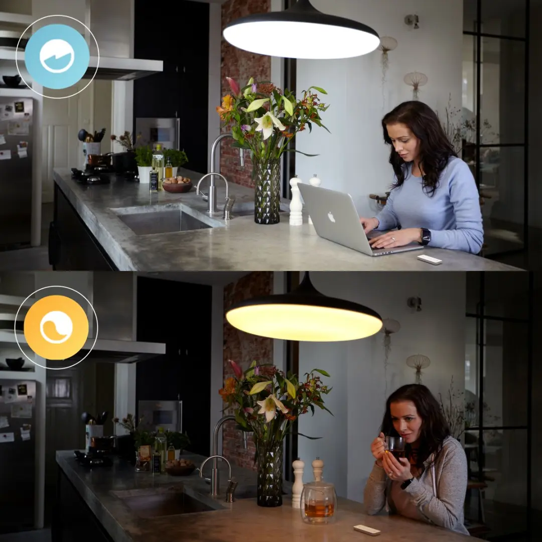 Philips Hue Voordeelverpakking 2x Dimmer Switch - Wit