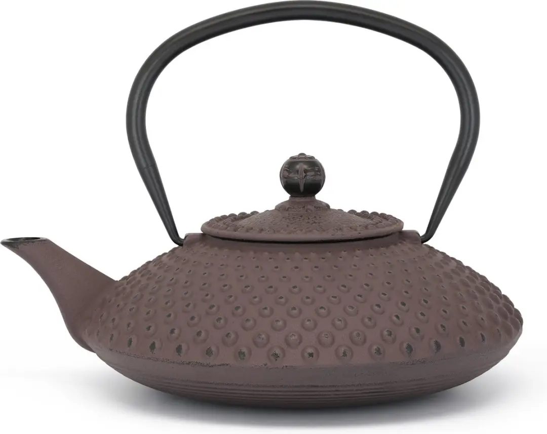 Bredemeijer Theepot Xilin 1,25L Gietijzer
