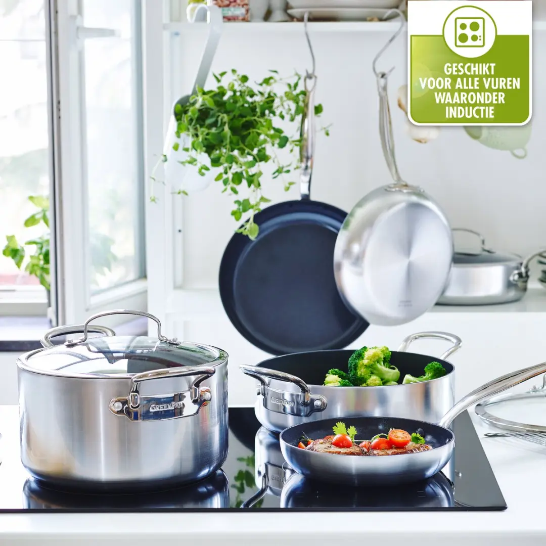 GreenPan Barcelona Evershine Kookpot 20cm - 3.1L - Zilver