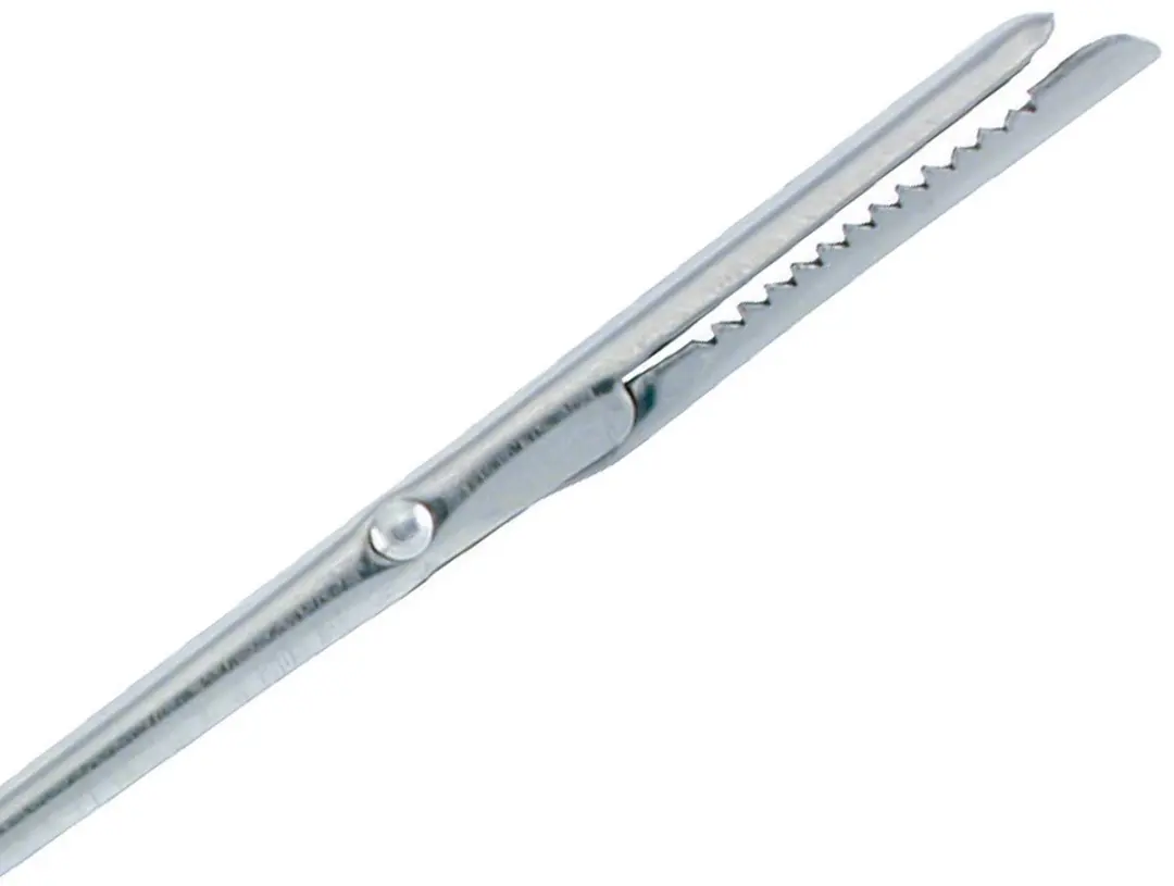Westmark Lardeernaald & Dresseernaald 18/19cm - Roestvrij staal - 2 Stuks