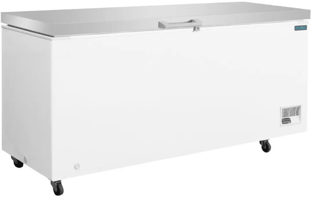 Polar G-Series Kistvriezer 581L