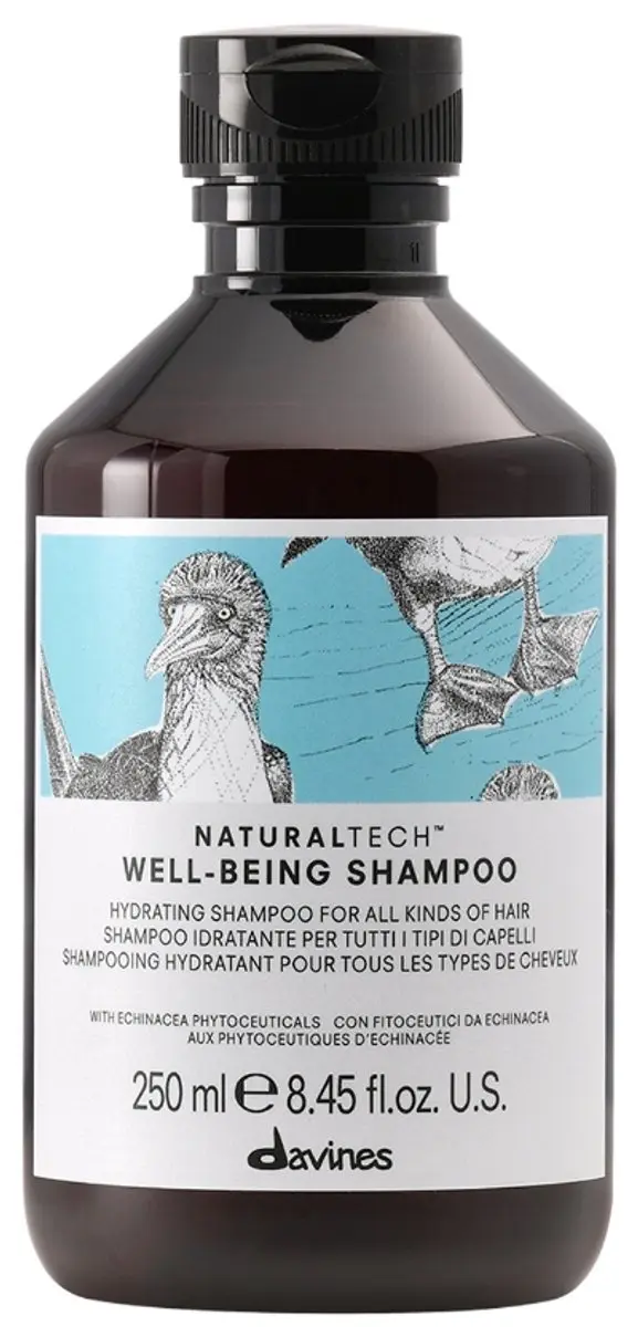 Davines Well Being Shampoo 250ml