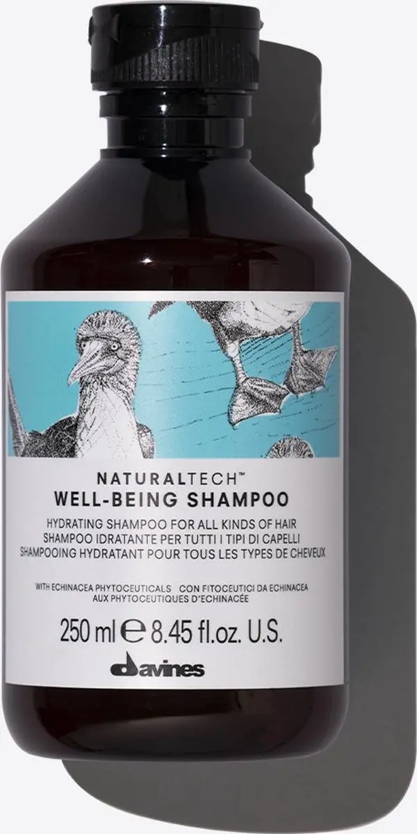 Davines Well Being Shampoo 250ml