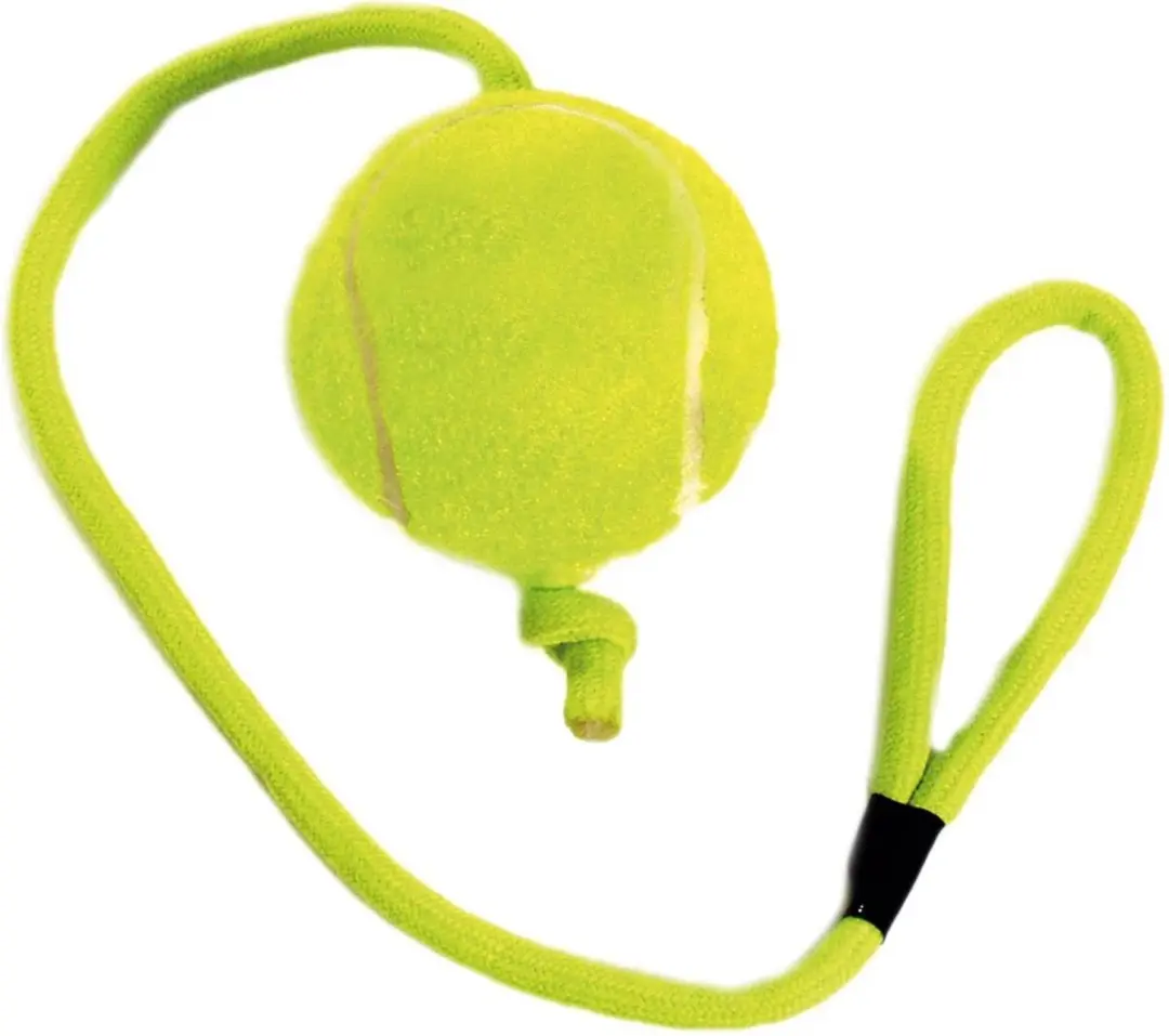 Flamingo Tennisbal aan Touw - 6cm Geel