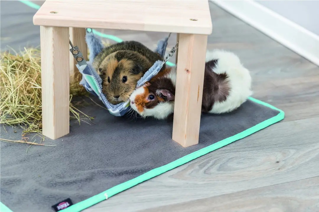 Trixie Schuilplaats met Hangmat Sunny - Grijs/Assorti 28x28x24cm - afbeelding 6 van 6