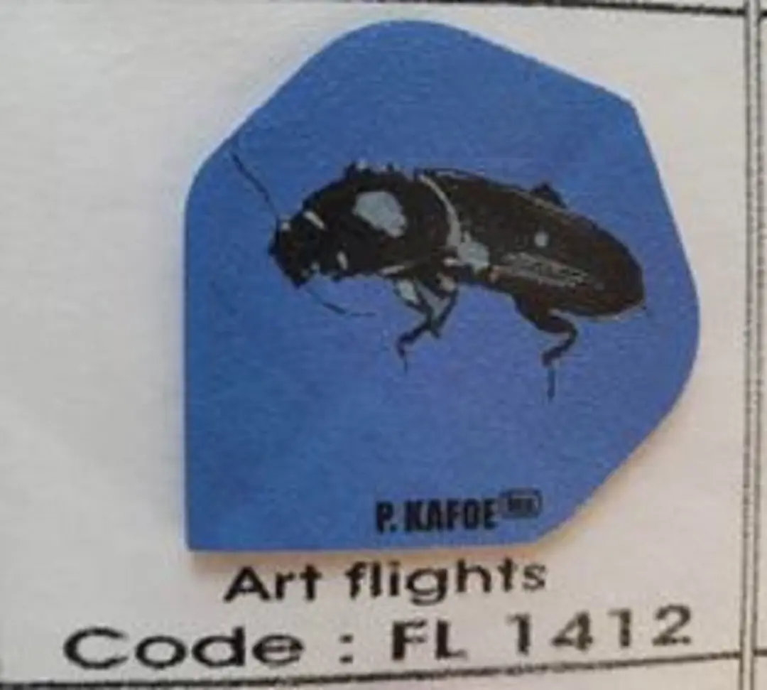 Datadart Dart Flights FL 1412