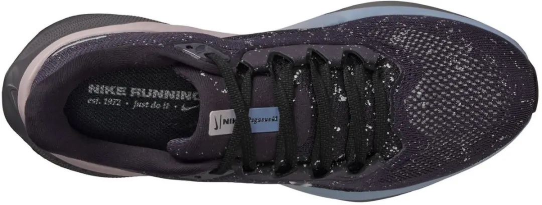 Nike Pegasus 41 SE Hardloopschoenen HV1726-500 - Zwart
