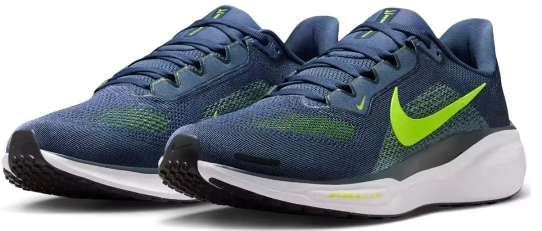 Nike Pegasus 41 Hardloopschoenen Heren FD2722-501 - Paars
