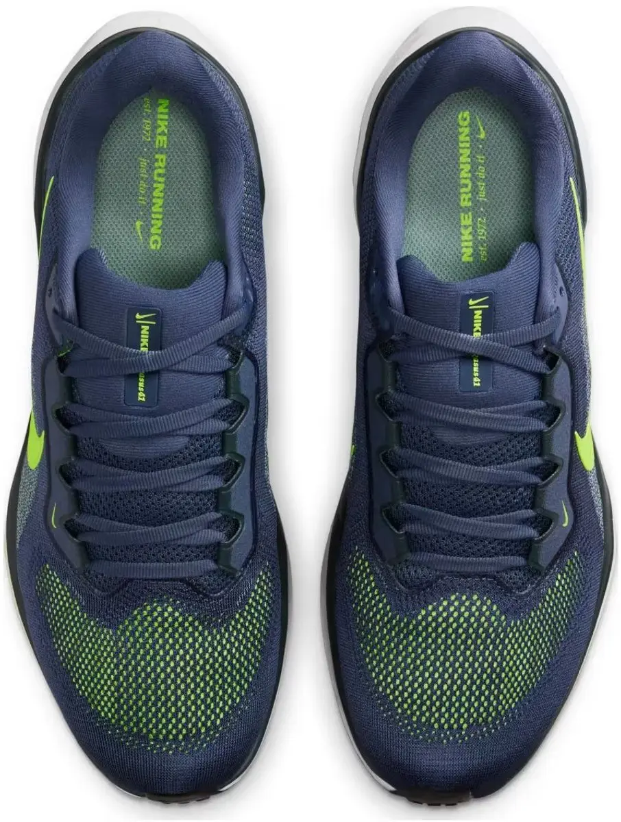 Nike Pegasus 41 Hardloopschoenen Heren FD2722-501 - Paars