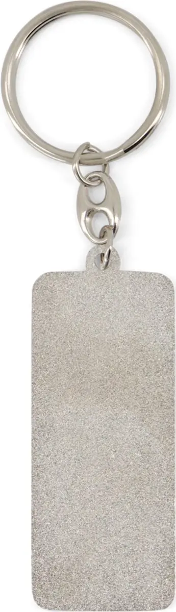 Ajax Sleutelhanger License Plate - Zilver