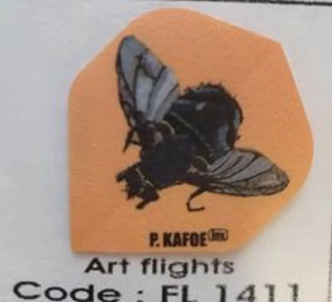 Datadart Dart Flights FL 1411