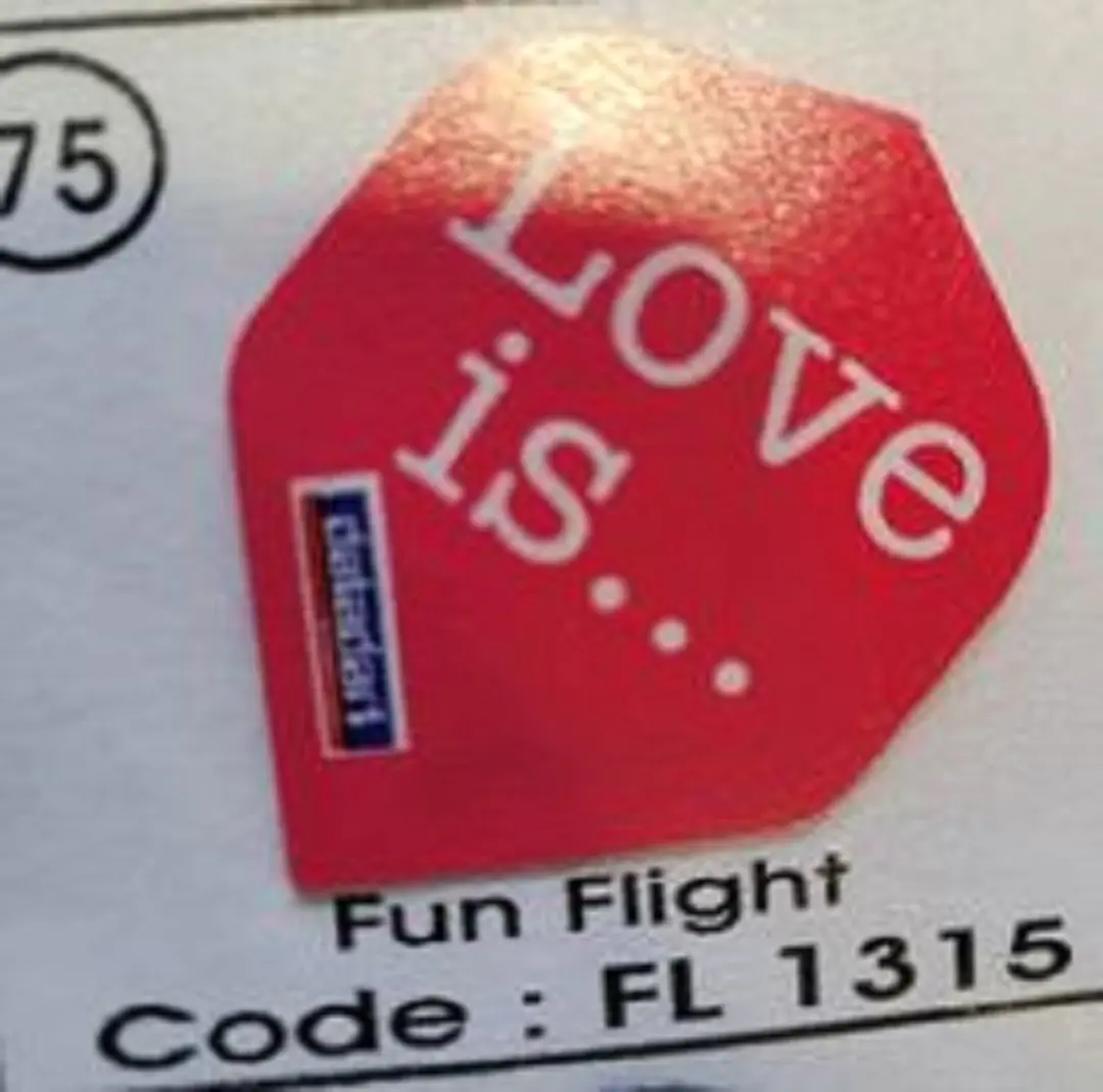 Datadart Dart Flights 1315