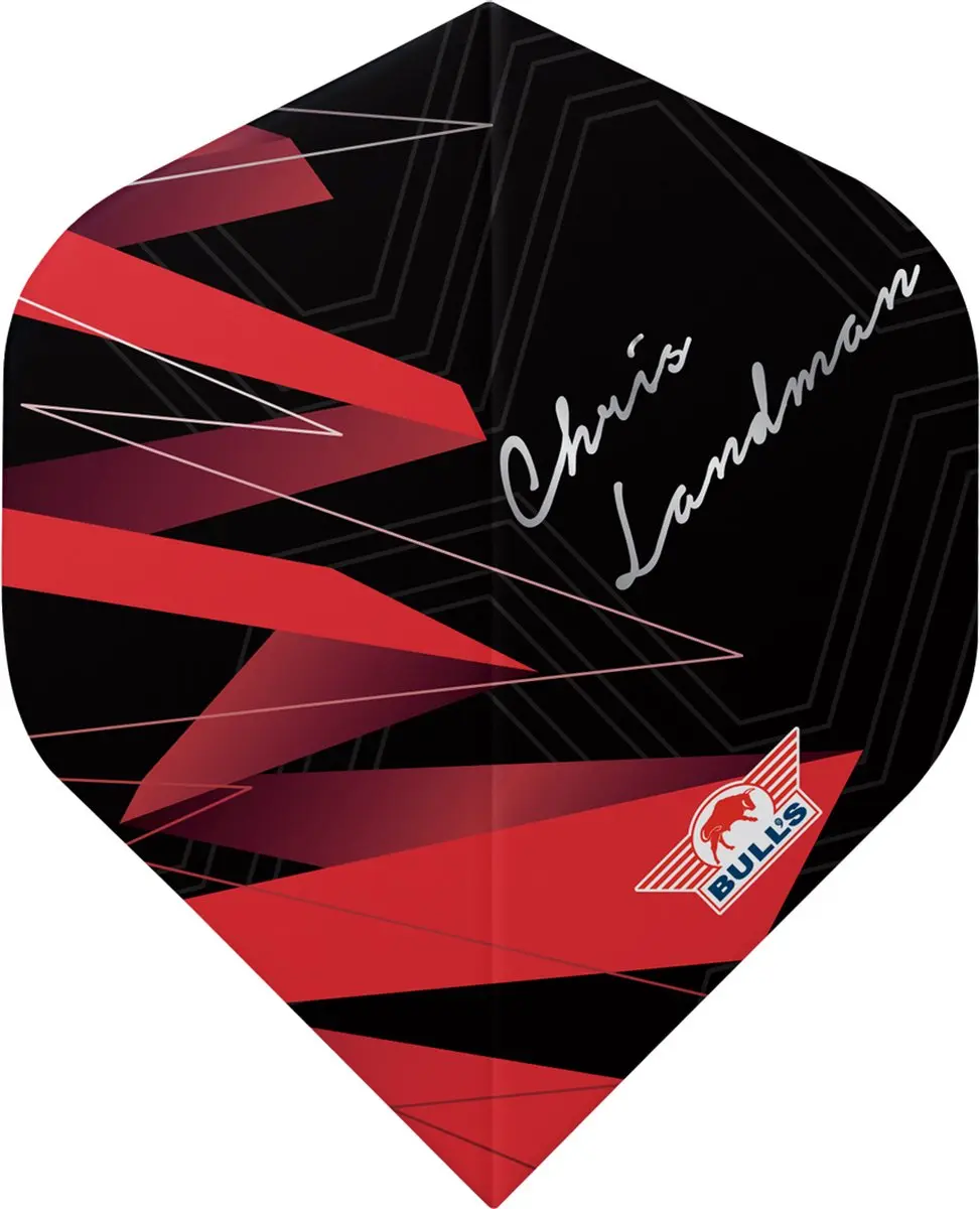 Bull's Chris Landman Dartpijlen 90% Tungsten 21g - 3 Stuks - afbeelding 6 van 6