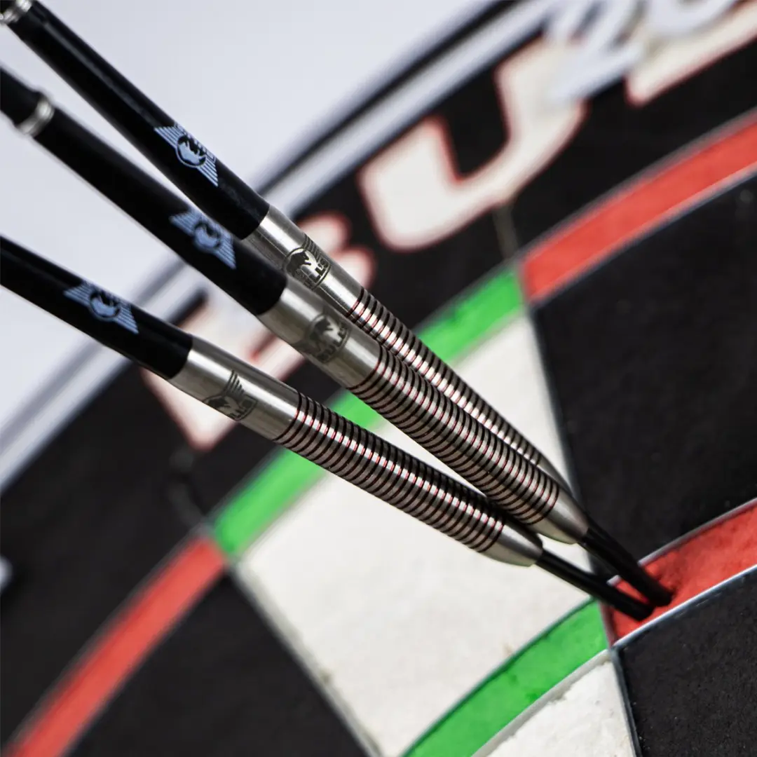 Bull's Chris Landman Dartpijlen 90% Tungsten 21g - 3 Stuks