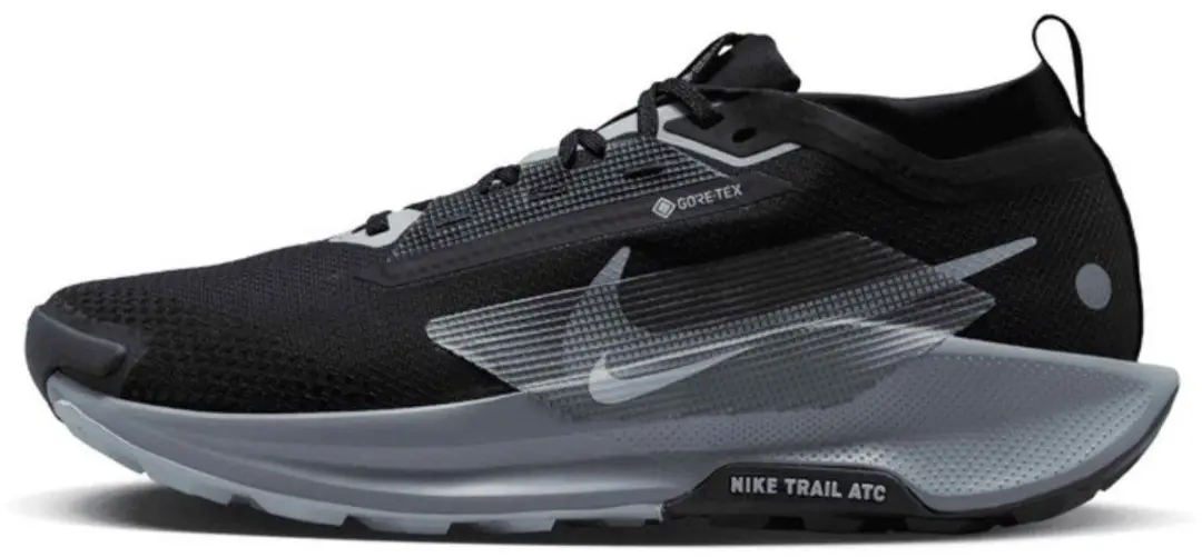Nike Pegasus Trail 5 GTX Trail-Running Schoenen FQ0908-001