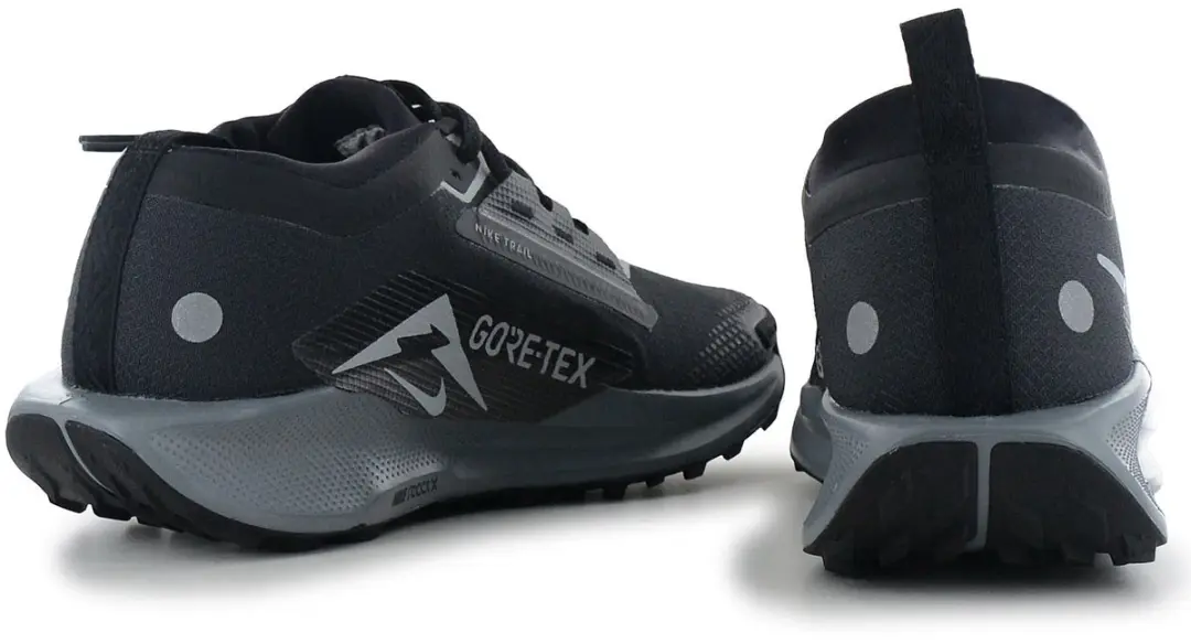 Nike Pegasus Trail 5 GTX Trail-Running Schoenen FQ0908-001 - Zwart