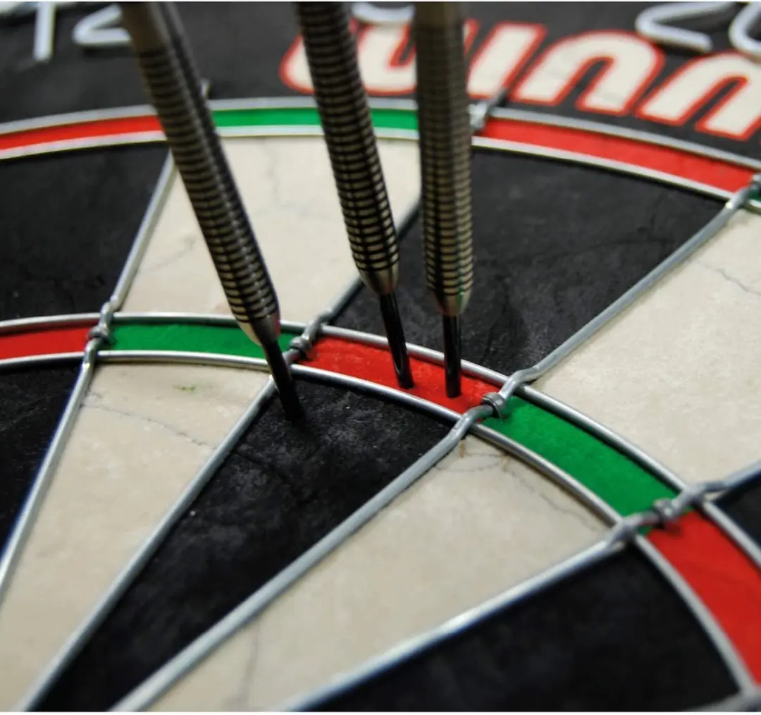 Winmau PRO-SFB Dartbord 45cm - Toernooiformaat Sisal