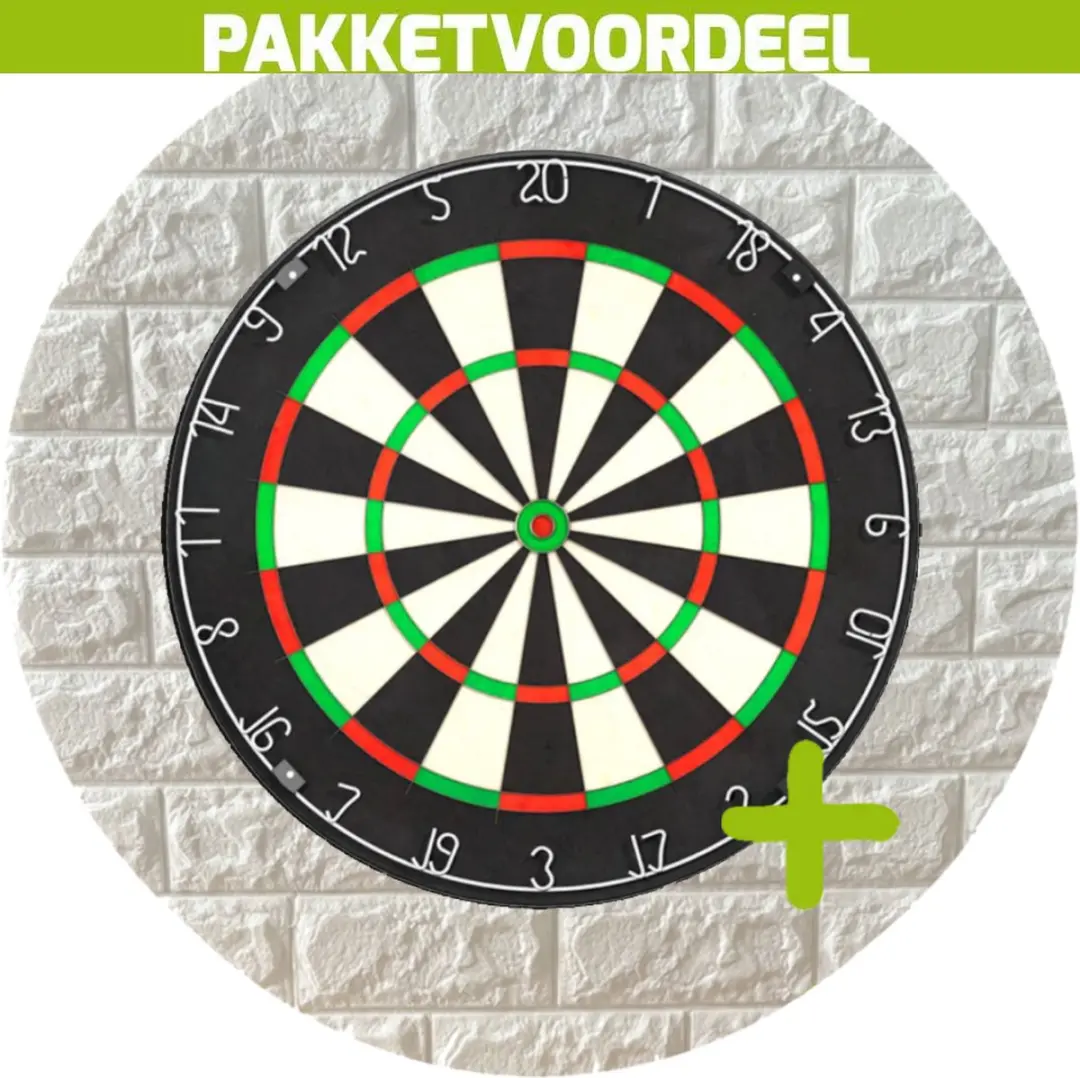 Lena Professional Dartbord Surroundset19