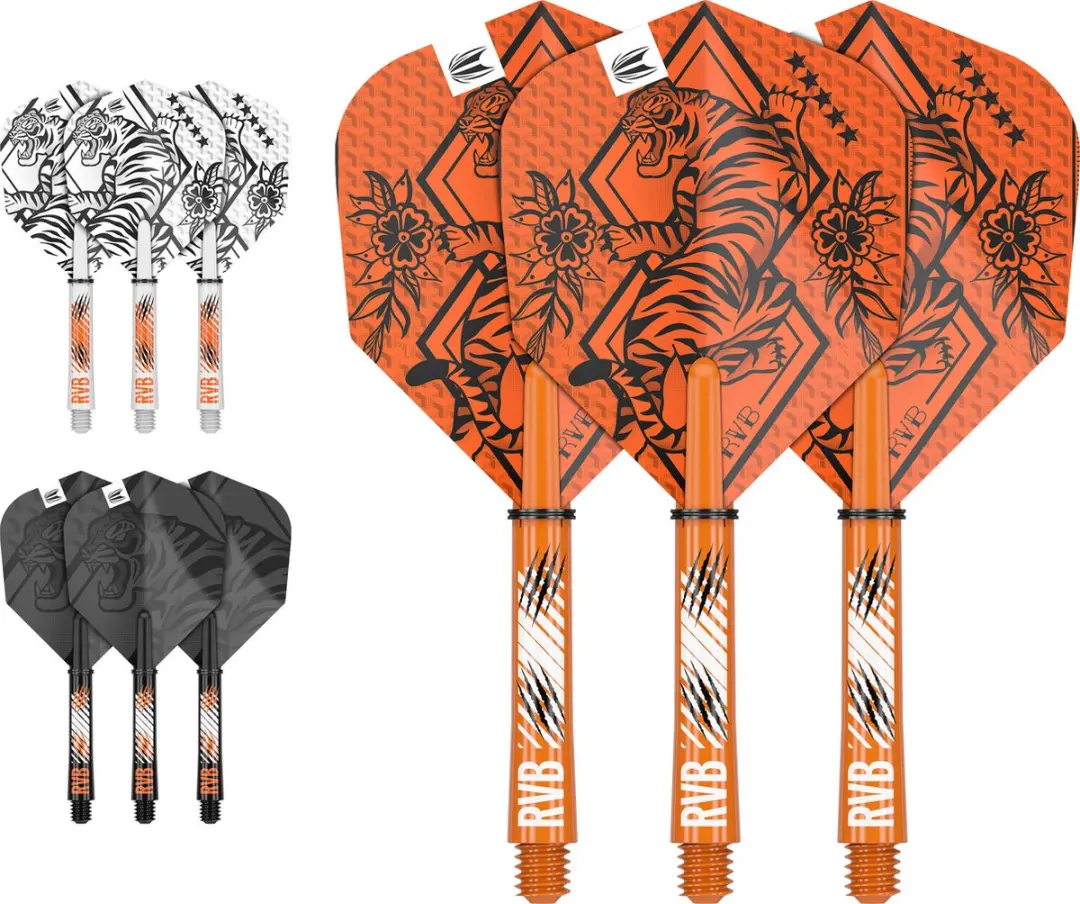 Target Raymond van Barneveld Ink Flight Shaft Kit 420003